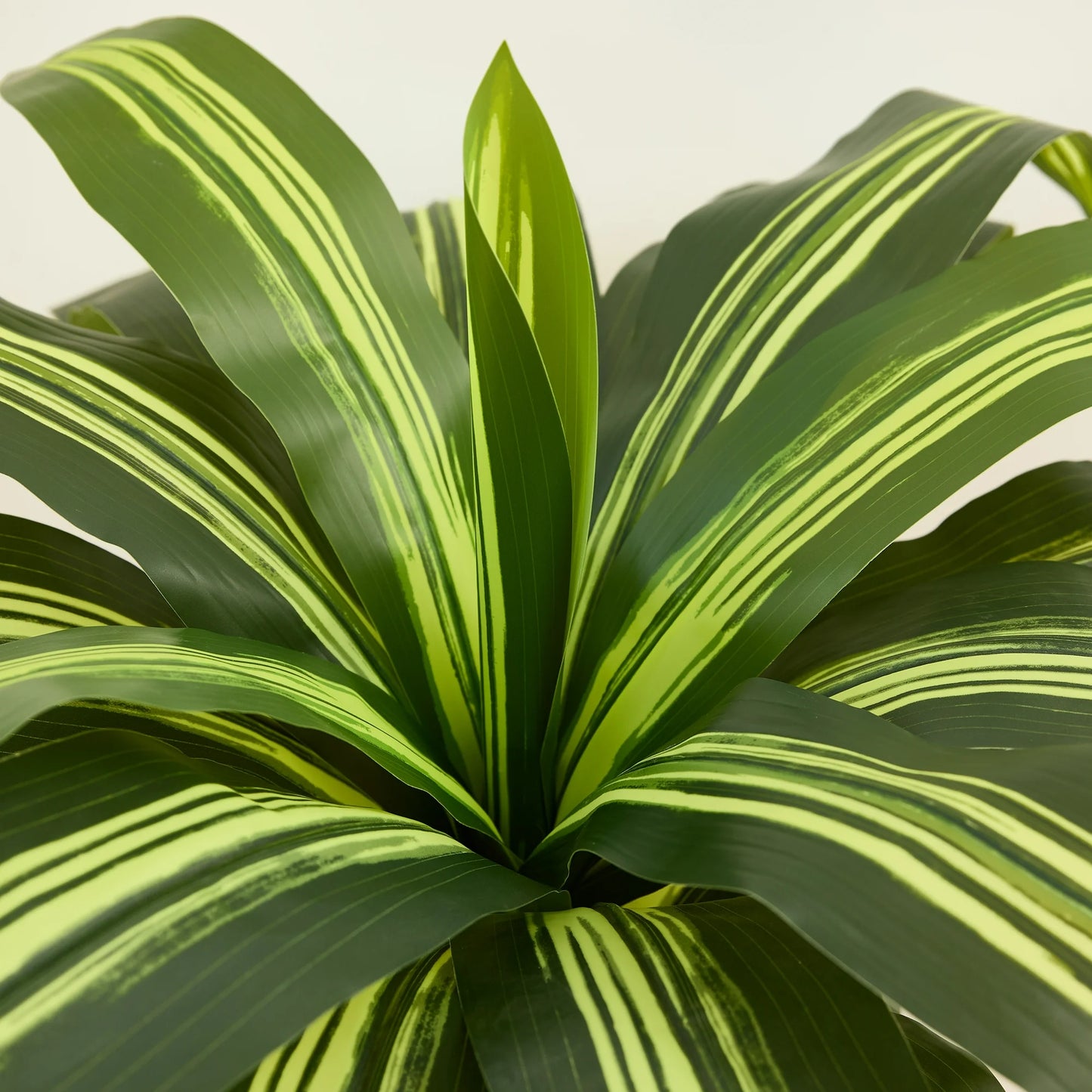 DR.Planzen 6FT Artificial Dracaena Tree with UV-Resistant Silk Leaves in White Tall Planter - Indoor/Outdoor Faux Plant for Home Office House Decor, Tall Fake Tree for Living Room Lobby Patio
