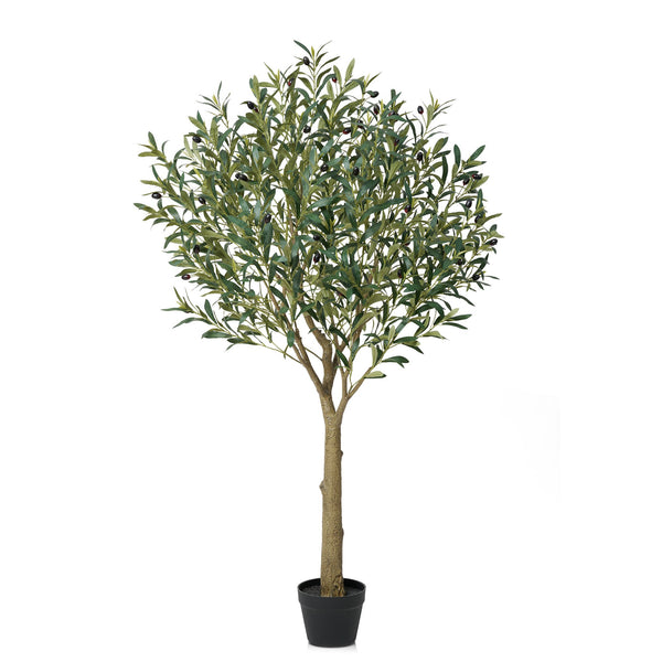DR.Planzen UV Resistant Artificial Olive Tree 5ft - Faux Olive Plant for Indoor  Outdoor Decor - Adjustable Branches - Realistic Olive Tree with Black Plastic Pot