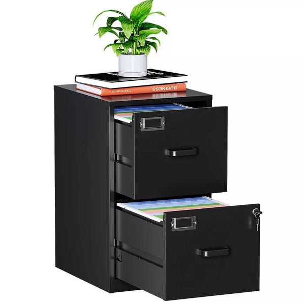 Mlezan 2-Drawer File Cabinet:Lockable Metal Storage for Home or Office. Fits Letter Files, Easy Assembly,Durable and Compact Design