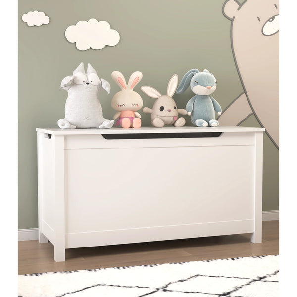 Seizeen Kids Toy Box, White Wooden Toy Chest Organizer with Safety Hinged Lid, Entryway Storage Bench Supports 100 lbs, Toy Storage Chest for Bedroom, Toddler Room, L0290