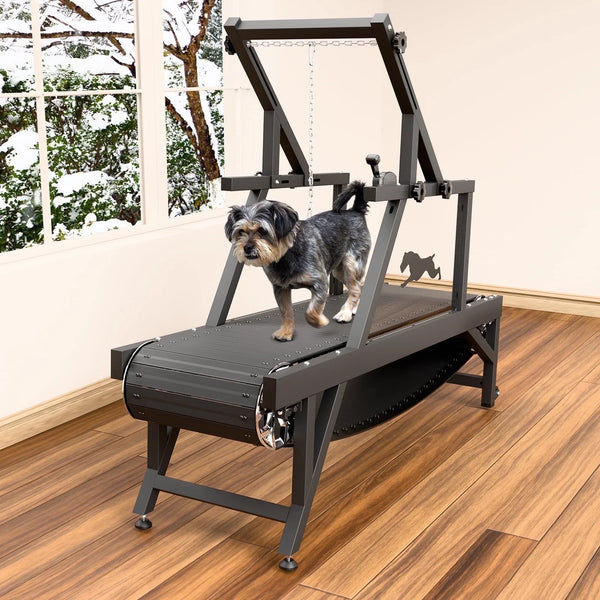 Syedee Dog Treadmill for Medium Dogs, Dog Slatmill for Healthy & Fit Dog Life, Dog Treadmill for Indoor & Outdoor. Dog Treadmill for Dogs up to 300 lb