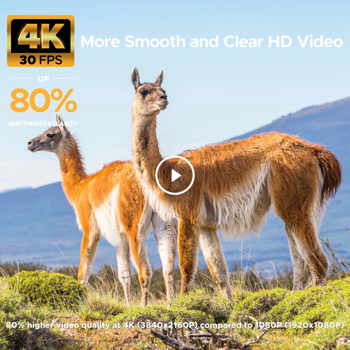 CAMPARK Trail Camera 4K 48MP Game Hunting Deer Camera with Night Vision Waterproof IP66 0.1s Trigger Time Latest Sensor Motion Time-Lapse 120 Wide-Angle 2.0” LCD for Wildlife Monitoring