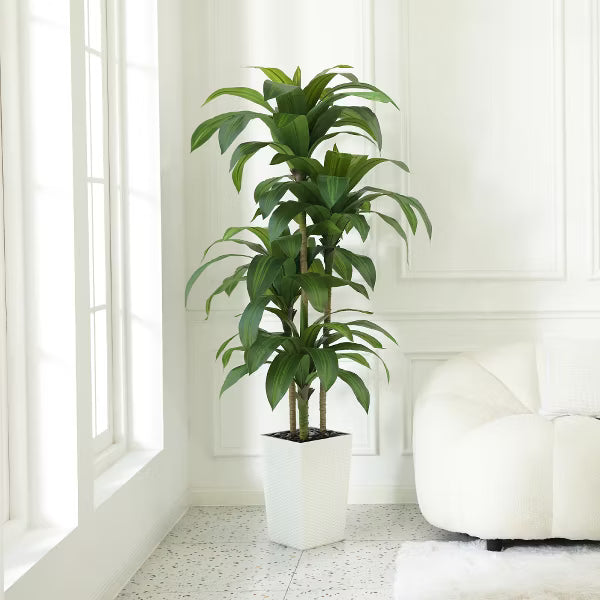 Dr.Planzen 5-6ft UV & Sunproof Artificial Dracaena Tree for Indoor/Outdoor - Faux Silk Plant in Tall Planter, Tall Faux Tree for Home & Garden Decor