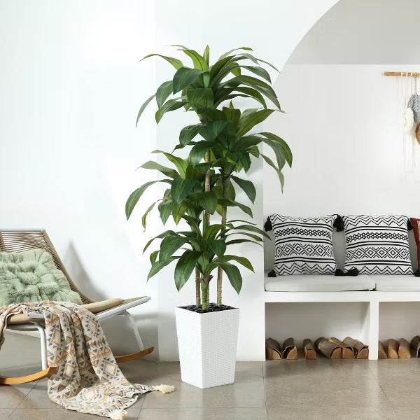 Dr.Planzen 5-6ft UV & Sunproof Artificial Dracaena Tree for Indoor/Outdoor - Faux Silk Plant in Tall Planter, Tall Faux Tree for Home & Garden Decor