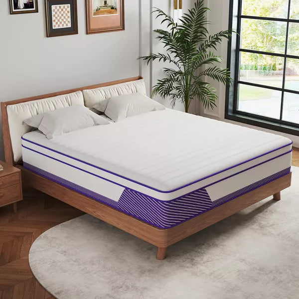 CHEVNI 12-14 Inch Mattress in a box Hybrid Spring Memory Foam Medium Firm