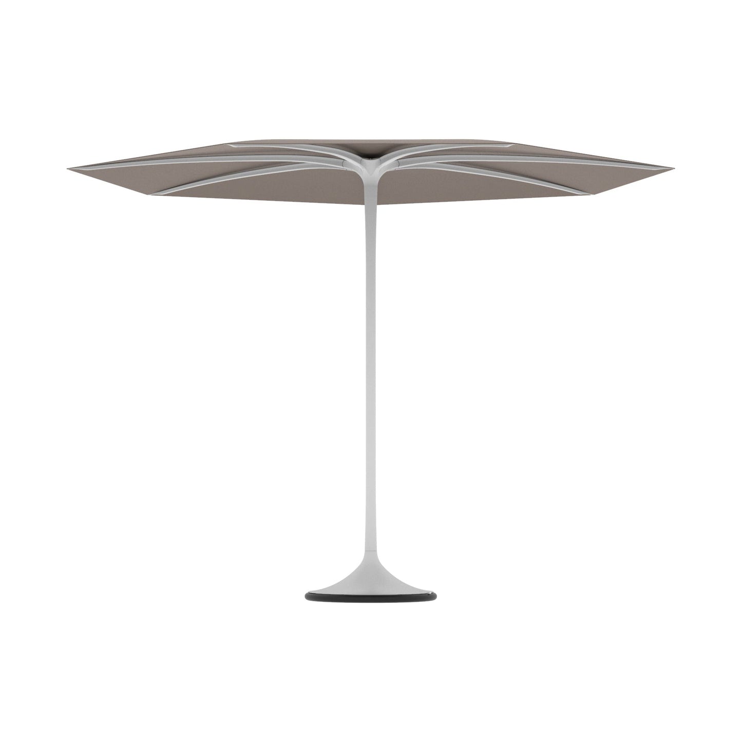 Palma Umbrella