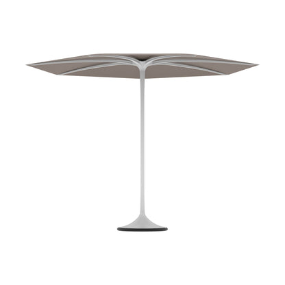 Palma Umbrella