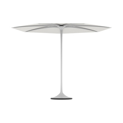 Palma Umbrella